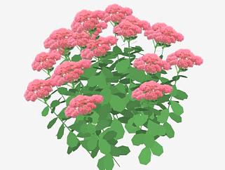 粉红色花卉植物SU模型下载_sketchup草图大师SKP模型