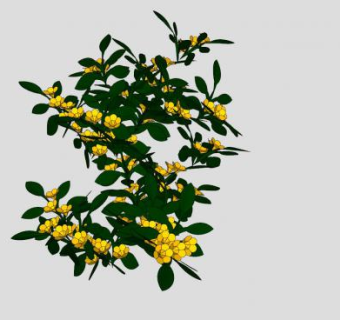 花枝绿叶黄花植物SU模型下载_sketchup草图大师SKP模型