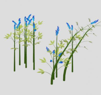 蓝色轮伞花花卉SU模型下载_sketchup草图大师SKP模型