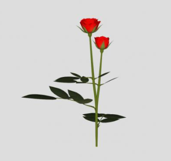红玫瑰花卉花朵SU模型下载_sketchup草图大师SKP模型