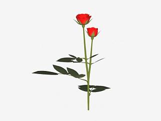 红玫瑰花卉花朵SU模型下载_sketchup草图大师SKP模型