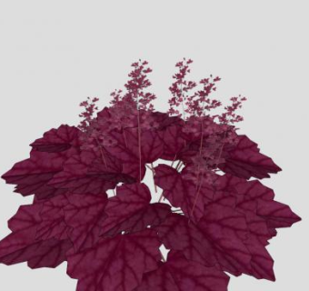 紫叶花卉灌木SU模型下载_sketchup草图大师SKP模型
