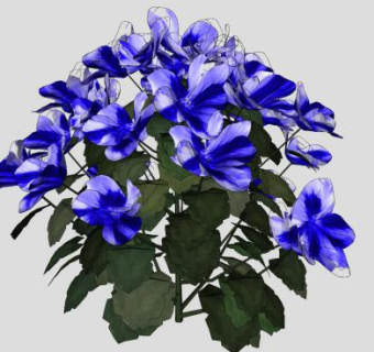 紫蓝色芙蓉花花卉SU模型下载_sketchup草图大师SKP模型