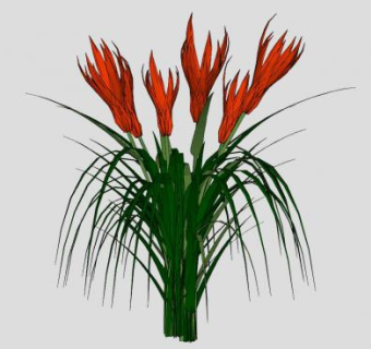 园艺植株鲜花SU模型下载_sketchup草图大师SKP模型