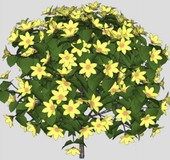 矮小鲜花灌木SU模型下载_sketchup草图大师SKP模型