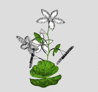 白色鲜花植株SU模型下载_sketchup草图大师SKP模型