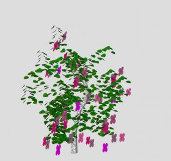 彩花观花灌木SU模型下载_sketchup草图大师SKP模型