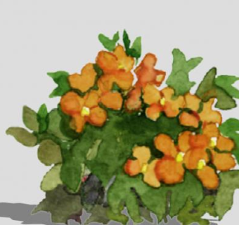 橙色观花灌木SU模型下载_sketchup草图大师SKP模型