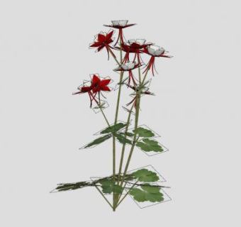 草本植物耧斗菜SU模型下载_sketchup草图大师SKP模型