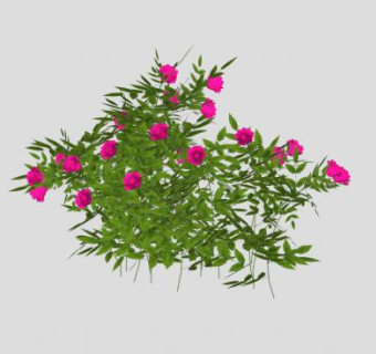 粉玫瑰花灌木SU模型下载_sketchup草图大师SKP模型