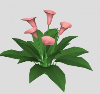 粉色马蹄莲花卉SU模型下载_sketchup草图大师SKP模型