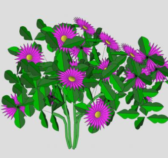 紫色雏菊花卉SU模型下载_sketchup草图大师SKP模型