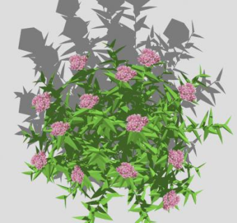 粉色绣线菊灌木SU模型下载_sketchup草图大师SKP模型