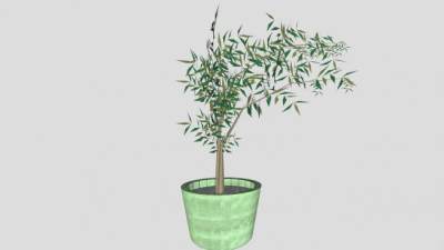 竹子植物盆栽SU模型下载_sketchup草图大师SKP模型