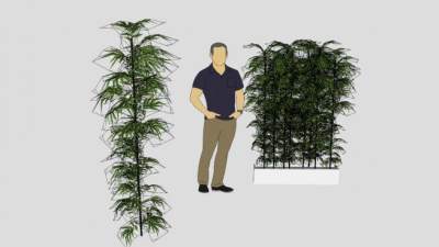 室外植物竹子盆栽SU模型下载_sketchup草图大师SKP模型