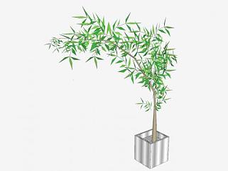 金属盆栽竹子植物SU模型下载_sketchup草图大师SKP模型