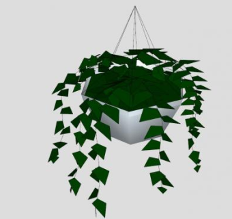 吊篮植物常青藤SU模型下载_sketchup草图大师SKP模型