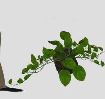 绿叶盆栽藤蔓植物下载_sketchup草图大师SKP模型