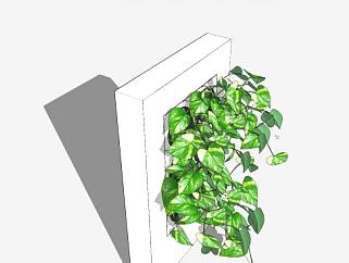 壁挂盆栽<em>藤本植物</em>SU模型下载_sketchup草图大师SKP模型