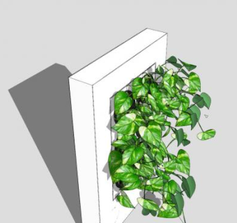 壁挂盆栽藤本植物SU模型下载_sketchup草图大师SKP模型