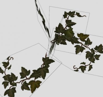 常春藤属植物SU模型下载_sketchup草图大师SKP模型