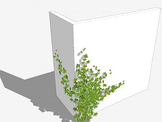 攀爬墙壁的常春藤SU模型下载_sketchup草图大师SKP模型