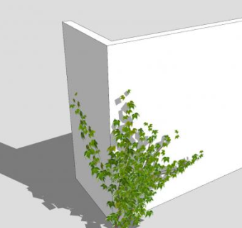 攀爬墙壁的常春藤SU模型下载_sketchup草图大师SKP模型