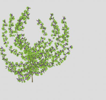 葡萄果实葡萄藤SU模型下载_sketchup草图大师SKP模型