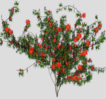 开花的藤本植物SU模型下载_sketchup草图大师SKP模型