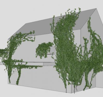 房屋墙壁上的藤蔓SU模型下载_sketchup草图大师SKP模型
