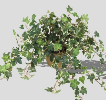 室内装饰悬挂盆栽植物SU模型下载_sketchup草图大师SKP模型