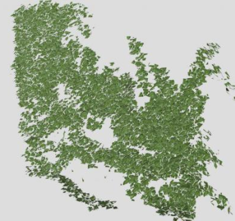 常绿植物藤蔓SU模型下载_sketchup草图大师SKP模型