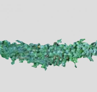 五加科植物常春藤SU模型下载_sketchup草图大师SKP模型