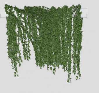 挂着的常春藤SU模型下载_sketchup草图大师SKP模型