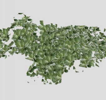 常绿植物常春藤SU模型下载_sketchup草图大师SKP模型