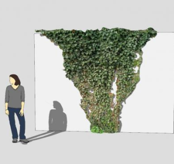 攀爬墙壁的藤蔓植物SU模型下载_sketchup草图大师SKP模型