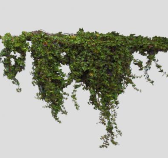 吊挂生长的常春藤SU模型下载_sketchup草图大师SKP模型
