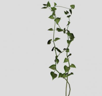 藤本植物藤蔓SU模型下载_sketchup草图大师SKP模型