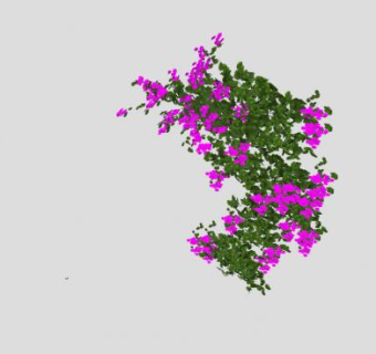 开紫花的藤蔓植物SU模型下载_sketchup草图大师SKP模型