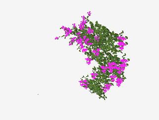 开紫花的藤蔓植物SU模型下载_sketchup草图大师SKP模型