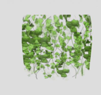 木质藤本植物爬山虎SU模型下载_sketchup草图大师SKP模型