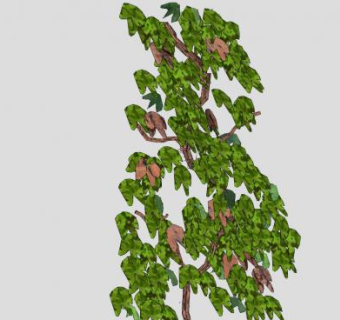 木本藤蔓葡萄树SU模型下载_sketchup草图大师SKP模型