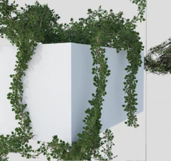 覆盖生长常青藤SU模型下载_sketchup草图大师SKP模型