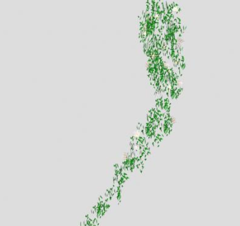 垂吊生长开花藤蔓SU模型下载_sketchup草图大师SKP模型