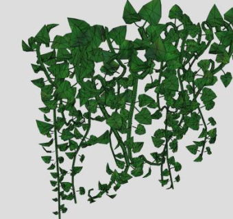 花园常绿藤蔓SU模型下载_sketchup草图大师SKP模型
