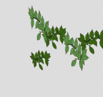 绿叶攀援藤蔓植物SU模型下载_sketchup草图大师SKP模型