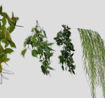 植物树枝集SU模型下载_sketchup草图大师SKP模型