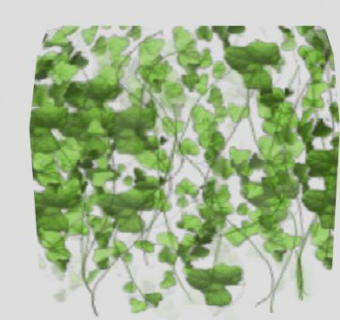 垂吊的藤蔓SU模型下载_sketchup草图大师SKP模型