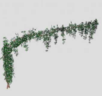 缠绕藤蔓开花植物SU模型下载_sketchup草图大师SKP模型
