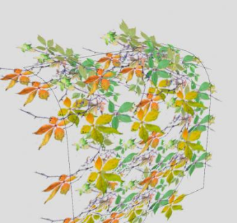 花园匍匐植物SU模型下载_sketchup草图大师SKP模型